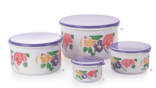 aristo Houseware Glory Plastic Storage Container 4 Pcs Set, Color May Vary, (Glory1-4)